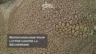 SFA - Technologies Agricoles Durables : Cultivons l&rsquo;avenir de l&rsquo;Afrique !