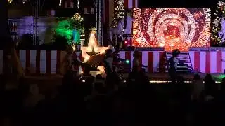 Circus Cats in Baguio