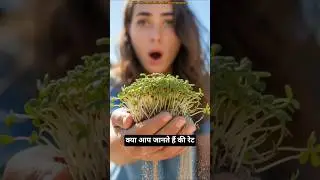 रेत में उगाए गए अंकुर | Sand Sprout Farming Technique #agriculture