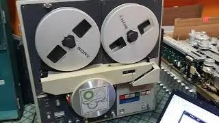 Sony EV-310CE