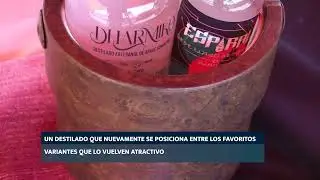 EL Bacanora bebida exclusiva  en 35 municipios de Sonora