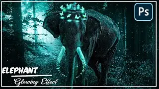Glowing Elephant  Photo Manipulation Effect Photoshop Tutorial