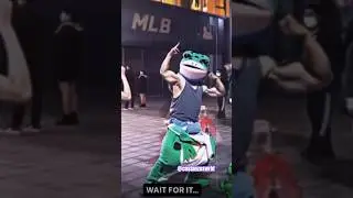 Average frog enthusiasts!