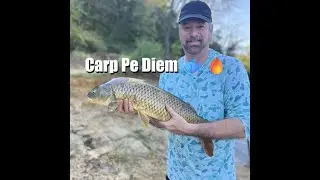 🎣 Big Carp Action on the Trinity River (Elm Fork) | Non-Stop Bites! 🐟