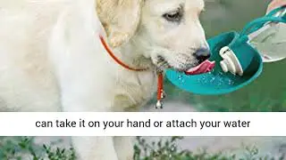 Yicostar Dog Water Bottle for Walking