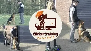 Gratis online clickertraining cursus deel 3