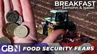 'We CANNOT continue to function at a loss': Britain's food security PLUMMETS as Farmers struggle