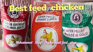 best feed for chicken growth and eggs /Bahtereen kurak for hens