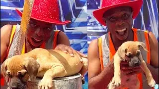 Best dog magic performance ever in America got talent that left everyone speechless 😱they love him
