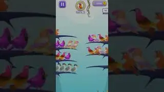 Color Bird Sort Puzzle Games level 1 _ #puzzlegame _  @anjuji