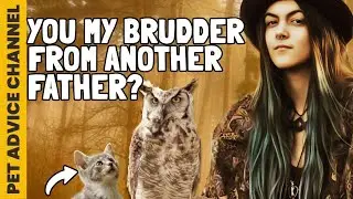 8 sounds cat make and what they mean