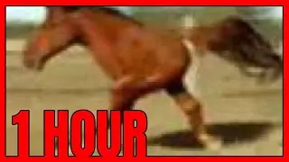 Retarded Running Horse 1 HOUR