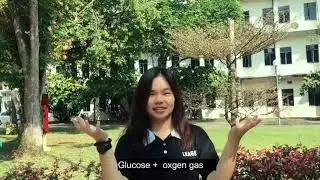 Group 16 (Inorganic Chemistry)