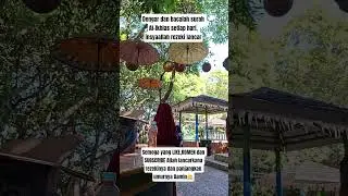 Surah Al-ikhlas #short #shorts #subscribe #rezeki #fyp #pembukarezeki