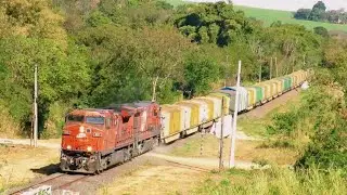 🇧🇷TREM da SUZANO - PAPEL e CELULOSE | Do Porto de Santos, ao Terminal em Aparecida do Taboado, MS.
