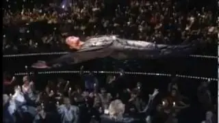 Siegfried And Roy