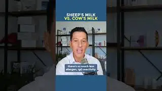 Sheep&rsquo;s Milk vs  Cow&rsquo;s Milk