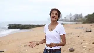 Ocean Pollution &ndash; Save Our Beaches!