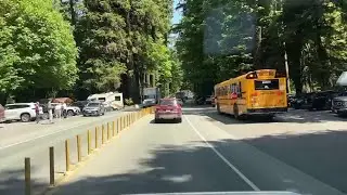 Port Alberni students suggest overhead walkway for Cathedral Grove safety improvements