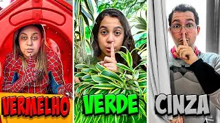 ESCONDE ESCONDE na COR SORTEADA do SUPER-HERÓI em FAMÍLIA  ! - Sarah de Araújo
