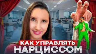 Как управлять НАРЦИССАМИ? Гайд для руководителей