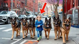 Een meisje wandelt elke ochtend met haar politiehonden, totdat mensen ontdekken dat ze een schokken