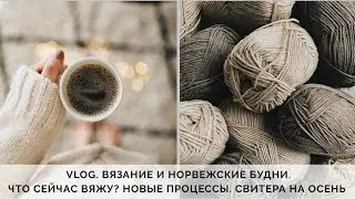 VLOG 51/2020 | ВЯЗАНИЕ И НОРВЕЖСКИЕ БУДНИ | ЧТО ВЯЖУ? | НОВОСТИ | ПРОЦЕССЫ | СВИТЕРА НА ОСЕНЬ