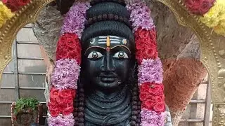 🕉Sri Vigneshwara | Bala Subramanya | Naga Devata | Abhishekam Puja #shiva #subscribe #new #yt #video
