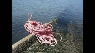 Chris Sollars | Exploring Public Art Practices 2016