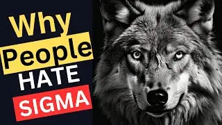 5 Reasons Why Society Hates Sigma Males