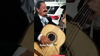 Cuando el Mariachi toca la de Mario Bros (Guitarron) 😎