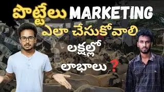 💰 Let me tell you how to do Potelu Marketing | If you do this, you will definitely get good profits.