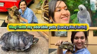 A day in my life with my pets lucky{germanshepherd}rio{african grey parrot}turtle|fun vlog with pets