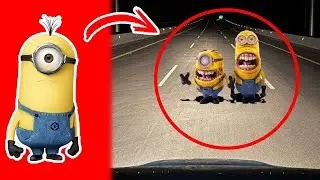10 MINIONS Captados en C&Aacute;MARA en la Vida Real #3