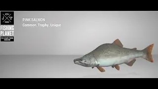 Fishing Planet - Kaniq Creek - Trophy - Pink Salmon - Float