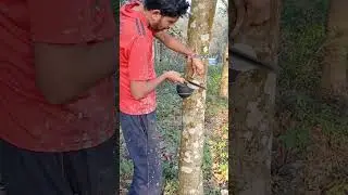 🥶എന്തൊരു തണുപ്പാ...😶&zwj;🌫️❄️ #shorts #morning #trending #minivlog #shenu_steni #shenuvivek #art #reel