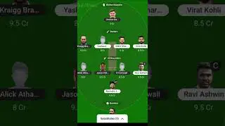 Fantasy test match team final memes #memes #cricket #funny