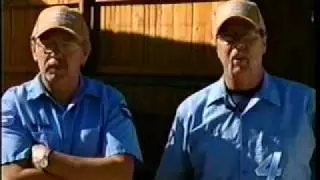 K9 Termite Finder