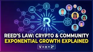 Reed's Law Explained: Why Community is the Ultimate Asset