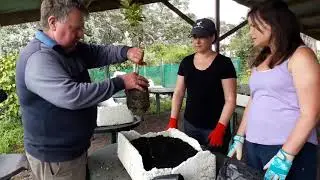 Re-establishing flora and birds &ndash; Motuihe Island, Auckland
