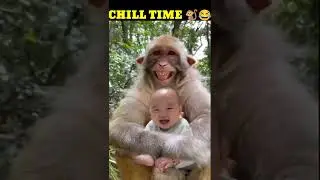 baby monkey bin bin fishing and hunting 😂🐒😂🐒😂🐒😂🐒😂🐒😂🐒😂🐒😂🐒😂🐒😂#shorts