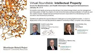 Intellectual Property Issues for Bioinformatics and Digital Innovation