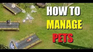 Lost Ark Tips for managing your pet farm rotation