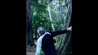 Disc Golf. Short hyzer flip Ace!