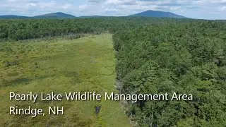 Habitat Happenings: Pearly Lake Wildlife Management Area