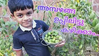 അമ്പഴങ്ങ ഉപ്പിലിട്ടത് /salted hog plum/finu shanu