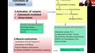 Mineral Metabolism:Ca & Phosphorus metabolism