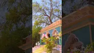RamaPir Temple in Pakistan 🇵🇰#temple #hindu #hinduism #history #oldisgold #short #pakistan