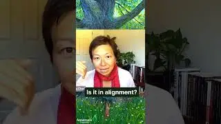 Part - 71_Interview with Dr. Edith Ubuntu Chan