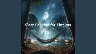 Oasis of Zen Relaxation